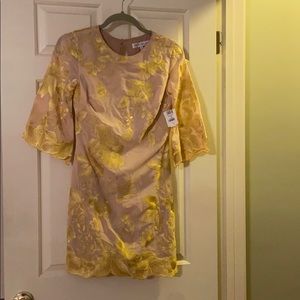 Dress the Population Floral Shift Dress, small